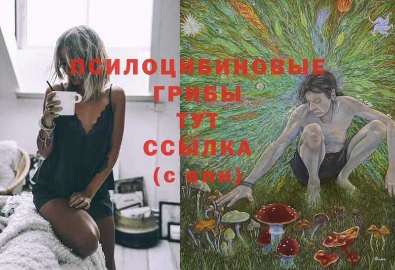 ссылка на мегу ссылки  Славск  Галлюциногенные грибы Psilocybe 